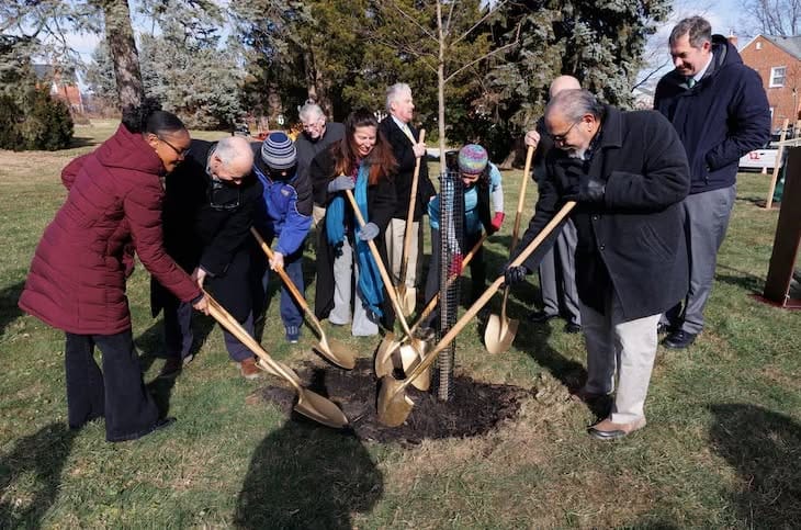 2024 Urban Trees planting