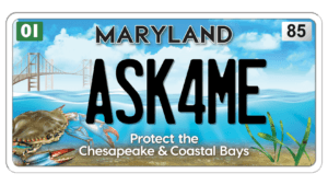 Bay Plate