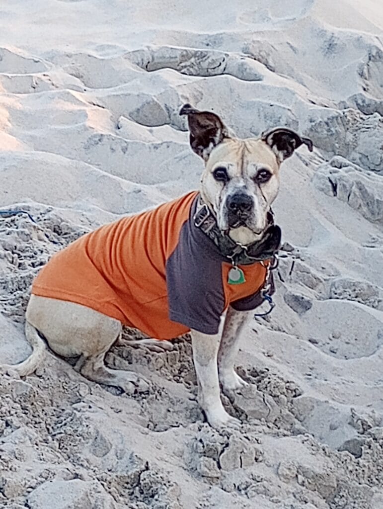 Dora