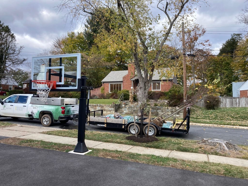 Urban Trees - Chesapeake Bay Trust