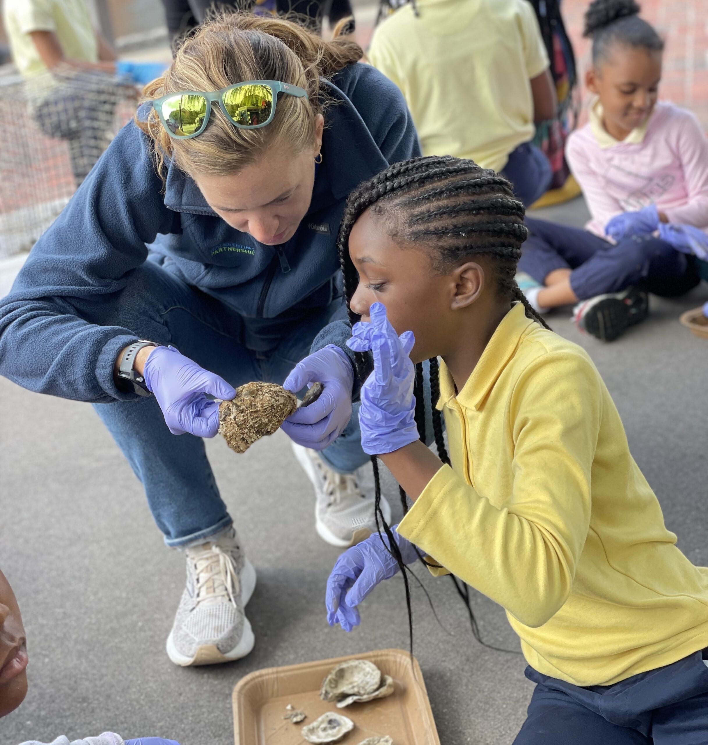 Environmental education