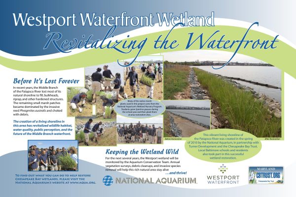 Westport-Waterfront-Wetland-graphic-page-001 (1)