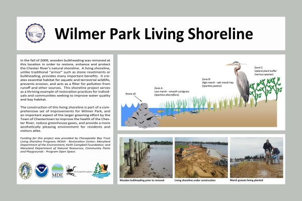 Wilmer-Park-Living-Shoreline