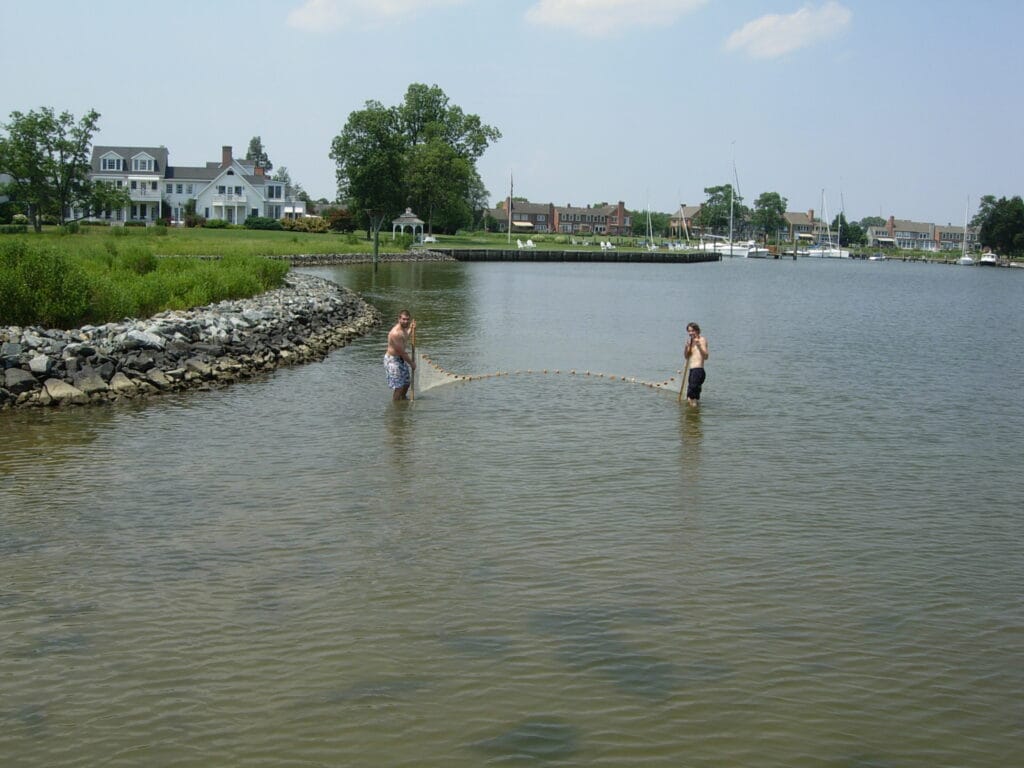 interns seining